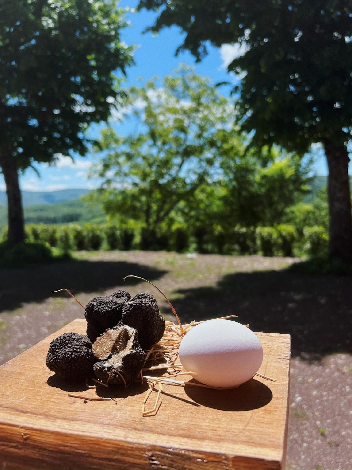 Villa Fattoria Del Borgo In Sabina Rieti Esterno foto