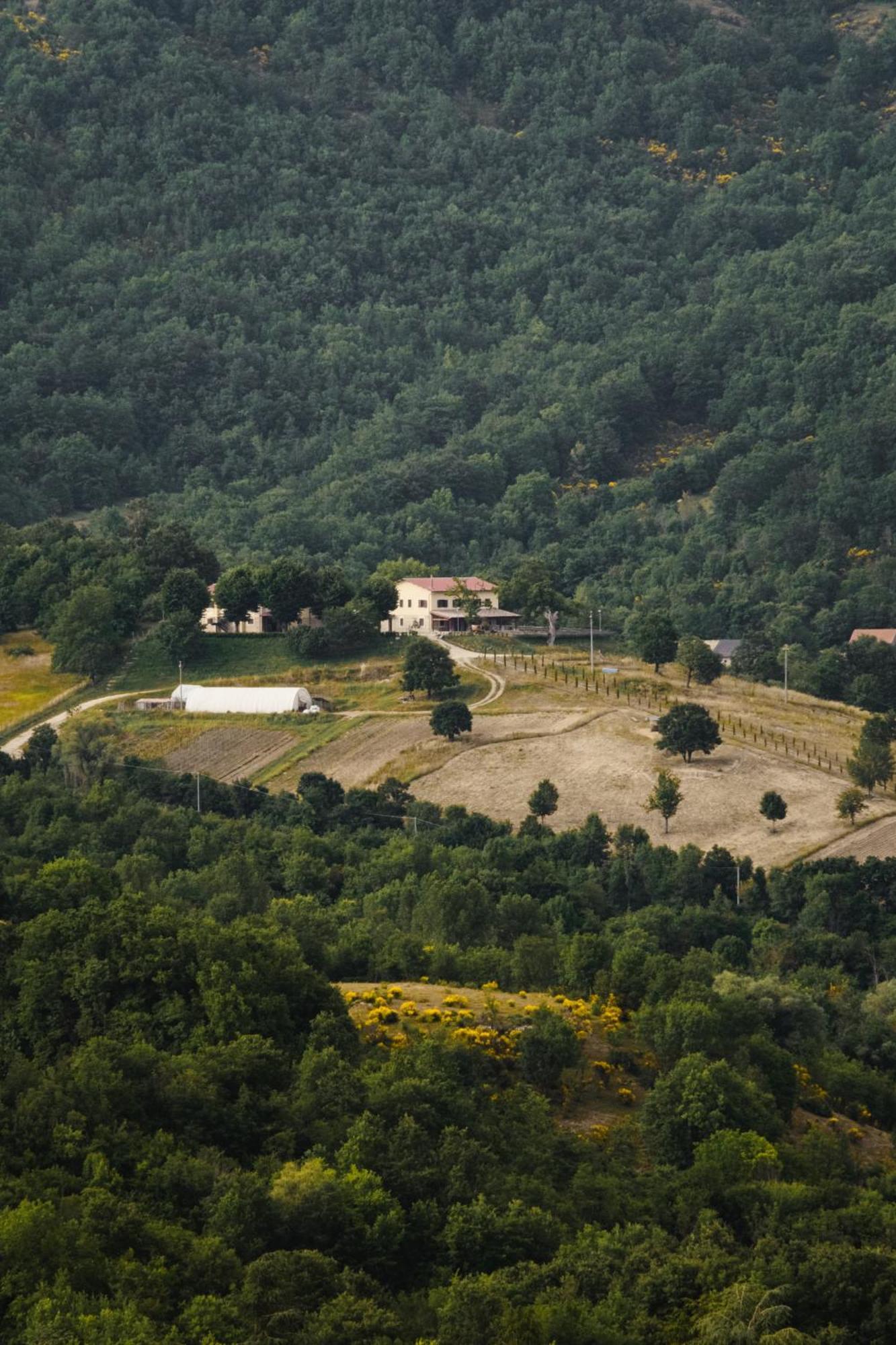 Villa Fattoria Del Borgo In Sabina Rieti Esterno foto